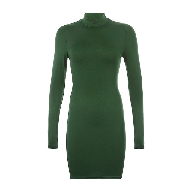 Rapwriter Sexy Solid Color Turtleneck Skinny Mini Dress Women 2018 Fall Winter Keep Warm Long Sleeve Slim Pencil Dress Vestidos