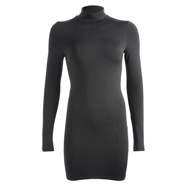 Rapwriter Sexy Solid Color Turtleneck Skinny Mini Dress Women 2018 Fall Winter Keep Warm Long Sleeve Slim Pencil Dress Vestidos